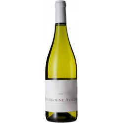 Bougogne Aligoté Blanc